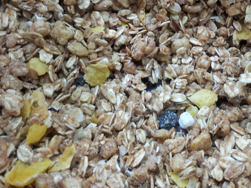 Granola Açai Mel Guaraná