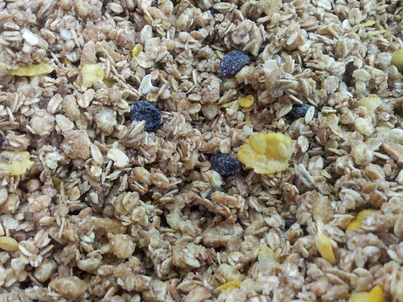 Granola com Castanhas