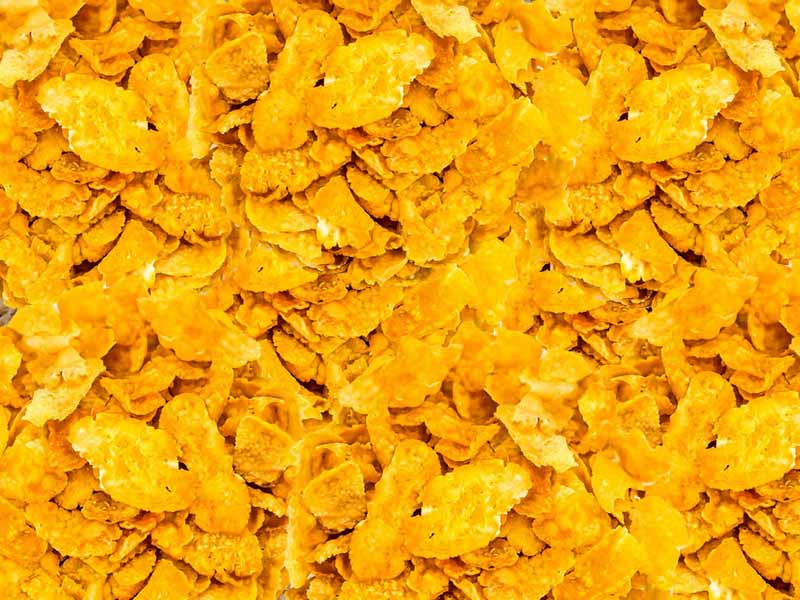 Sucrilhos sem Açucar