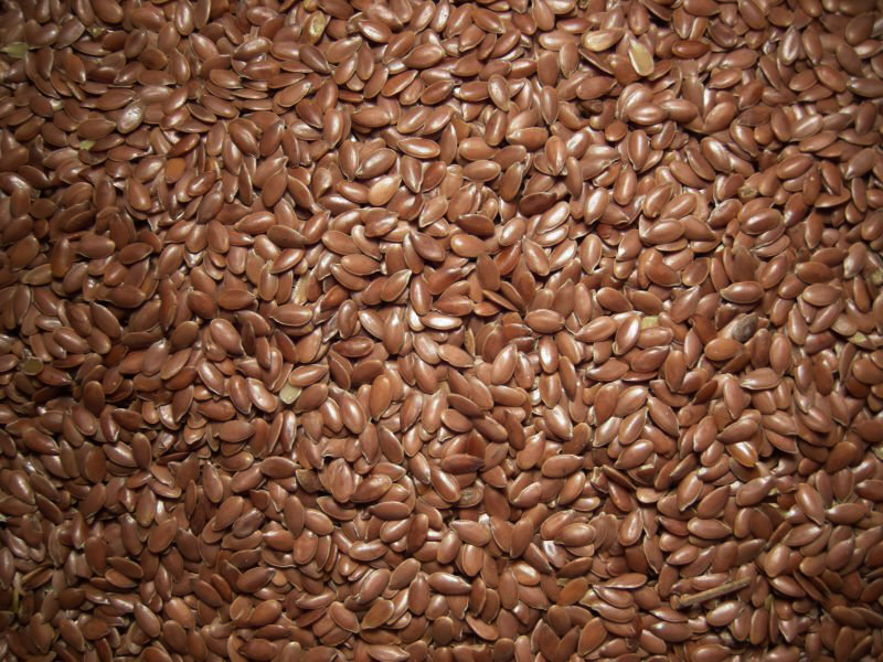 Semente de Linhaça